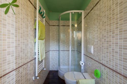 a bathroom with a shower and a toilet in it at B&B La Pulce Dorata in Mulazzo