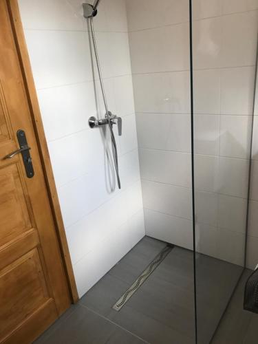 a shower with a glass door next to a floor at Hullám Apartman in Balatonlelle