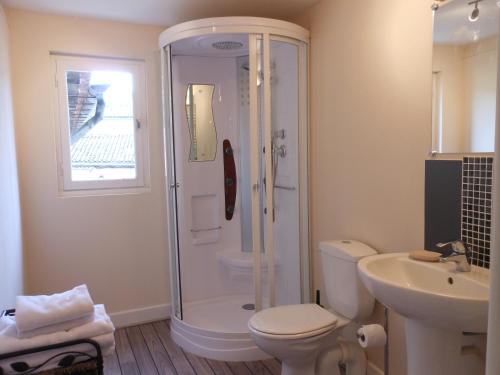 uma casa de banho com um chuveiro, um WC e um lavatório. em Les Logis du Roy em Saint-Émilion