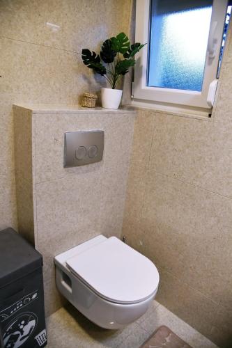a bathroom with a toilet and a window and a plant at Apartmani Valis in Matulji