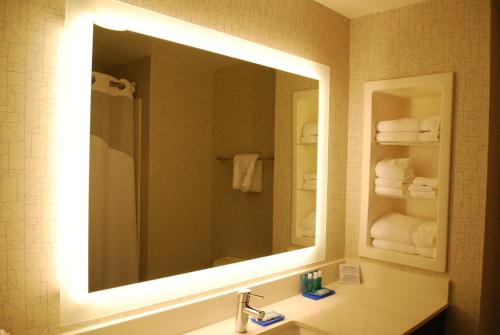 a bathroom with a mirror and a sink at Holiday Inn Express Hotel & Suites Kingsport-Meadowview I-26, an IHG Hotel in Kingsport