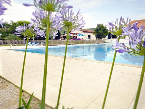 a group of purple flowers next to a swimming pool at Hotel Restaurant Bonnet in Saint-Pée-sur-Nivelle