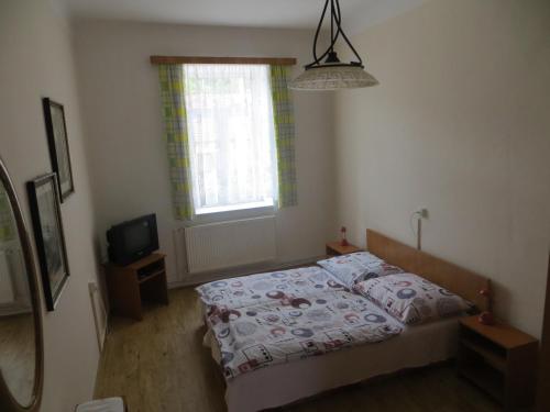 a bedroom with a bed and a television and a window at U Pastorku in Račice