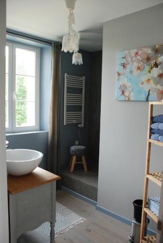 łazienka z umywalką i oknem w obiekcie Ferme du Grand Hotel du Bois w mieście Jouarre