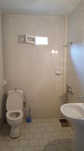 un bagno con un water e un lavandino di Firuza Hostel a Borjomi
