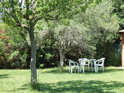 Jardin de l'établissement Agriturismo Tattarini