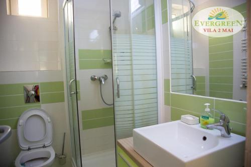 ein Bad mit einem WC, einem Waschbecken und einer Dusche in der Unterkunft Vila Evergreen 2 Mai in 2 Mai