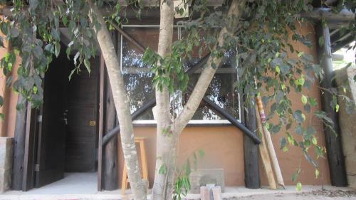 a group of trees in front of a building at Las Cabañas de Tarii in Cieneguilla