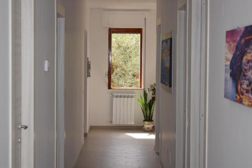 a hallway with a window and a plant at Sorrento Dolce Casa in Sorrento