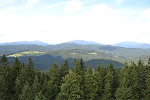 a group of trees with mountains in the background at Penzion a restaurace Staré Časy in Horní Bečva
