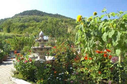 a garden with a fountain in the middle of flowers at Hotel Haus Orchideental Jena in Jena