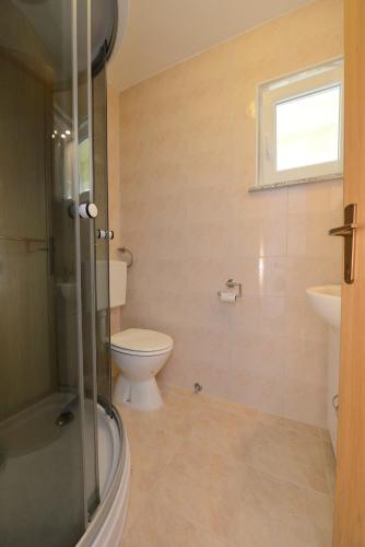 a bathroom with a toilet and a sink and a shower at Apartment Seline in Seline