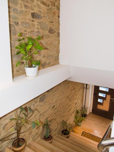 a window sill with potted plants on a wall at Pension Rustica Casa Do relojero in Zas
