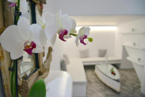 a group of white orchid flowers in a room at Moschoula Studios in Adamas