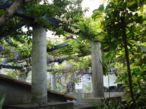 Taman di luar Quinta das Buganvílias