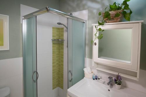 La salle de bains est pourvue d'une douche et d'un lavabo avec un miroir. dans l'établissement Pinat Nofesh, à Rosh Pinna