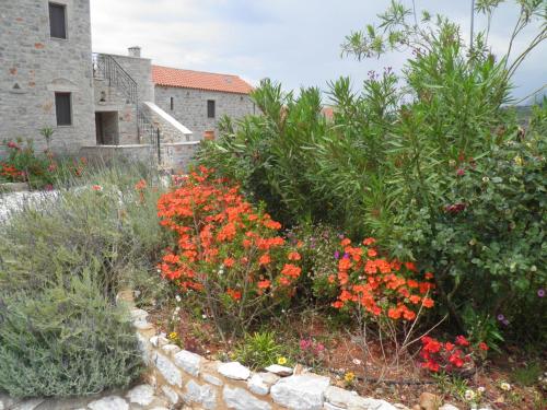 a garden with flowers and plants in front of a building at Althea Village in Areopolis