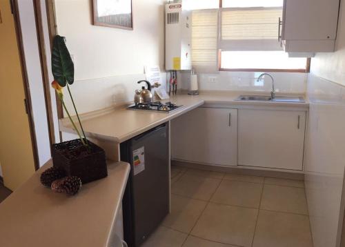 uma cozinha com armários brancos e uma planta em vaso num balcão em El Colorado Bungalows em El Colorado