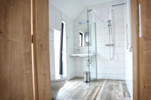 a bathroom with a toilet and a sink at Penzion Vinařství Konitz in Znojmo