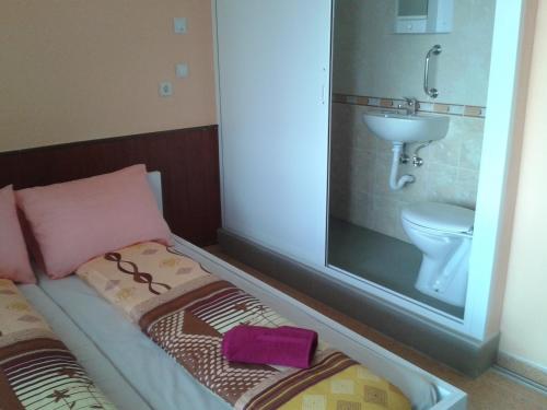 La petite salle de bains est pourvue d'un lavabo et de toilettes. dans l'établissement Osogovo Rooms, à Sofia