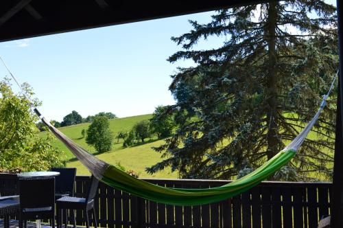 a hammock on a deck with a tree at Natur & Wander Hotel Gassbachtal in Grasellenbach