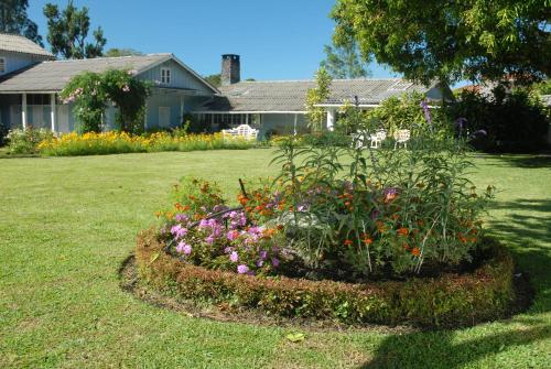 a flower bed in the yard of a house at Hotel Panamonte in Boquete
