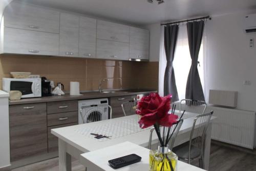 a kitchen with a table with a red flower on it at Apartament Anais in Călimăneşti