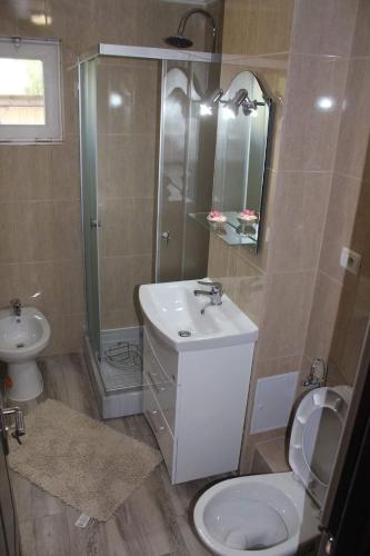a bathroom with a sink and a toilet and a shower at Apartament Anais in Călimăneşti