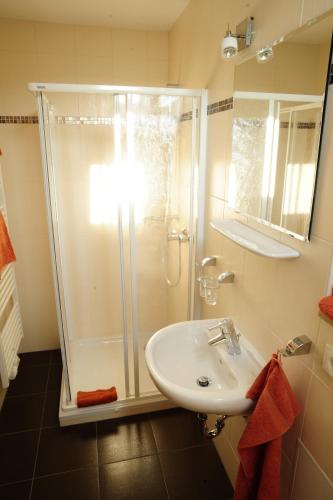 a bathroom with a shower and a sink at Ferienappartements Am Spreewaldfliess in Schlepzig