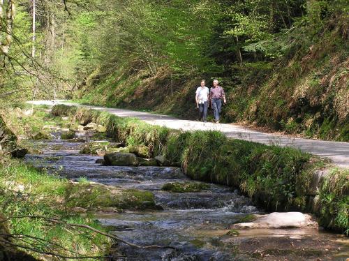 two people walking on a road next to a river at Flair Hotel Adlerbad in Bad Peterstal