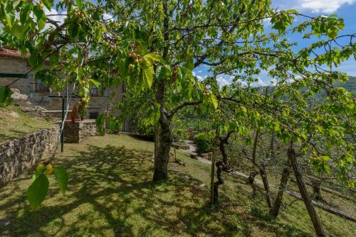 Zahrada ubytování Agriturismo Casapasserini