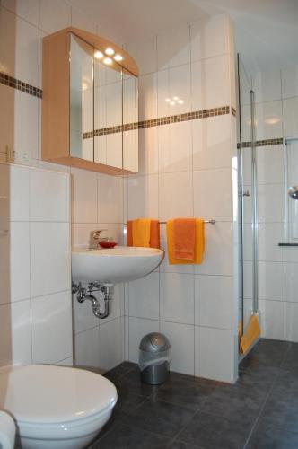 a bathroom with a sink and a toilet and a shower at Landhaus Warndtwald Dependance in Wadgassen