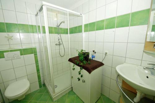 a bathroom with a shower and a toilet and a sink at Haus Susi in Imsterberg