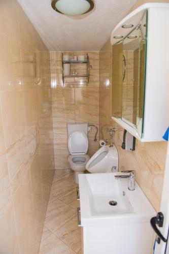 a bathroom with a toilet and a sink and a mirror at Apartments Villa Monique in Rogoznica