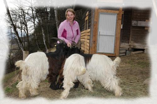 a girl is standing next to two goats at Haus Südblick in Zell am See