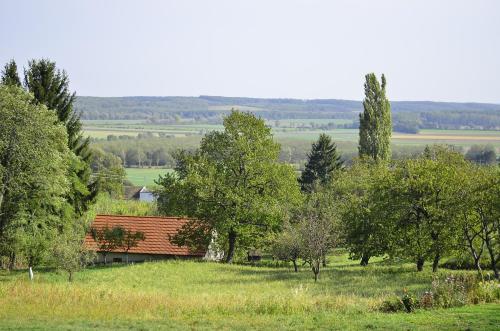 a house in the middle of a field with trees at Kellerstöckl Prantner & Haus Wohlauf in Rechnitz