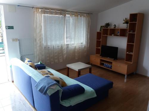 TV a/nebo společenská místnost v ubytování Apartmani Huljev