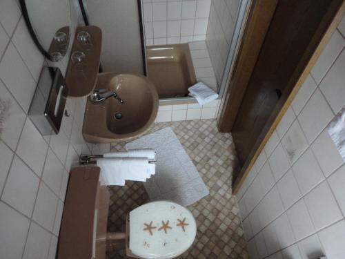 a small bathroom with a toilet and a sink at Haus Volkesbach in Liesen