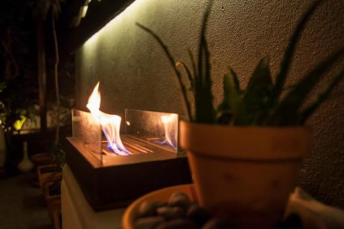 a plant in a vase next to a candle at epicenter SANTACRUZ in Lagoa