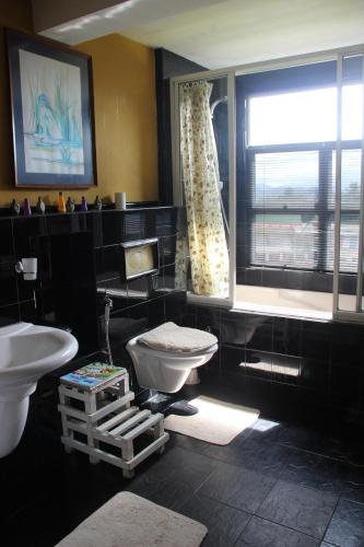 a bathroom with a toilet and a sink and a window at Kandy Stonehouse APARTMENT in Kandy