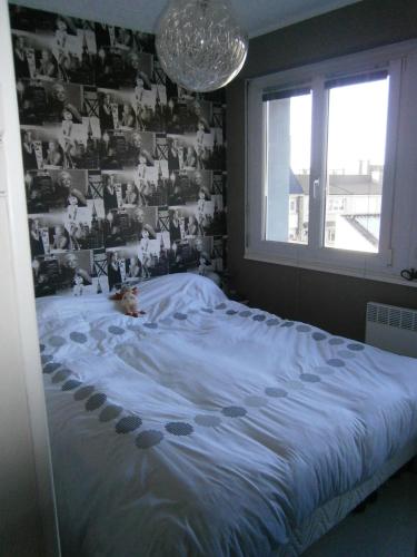 une chambre avec un lit sur lequel est allongé un chien dans l'établissement STUDIO 100 m PLAGE, à Le Portel