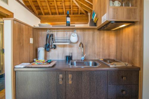 a kitchen with a sink and wooden cabinets at Apartamentos Alhambra in Granada