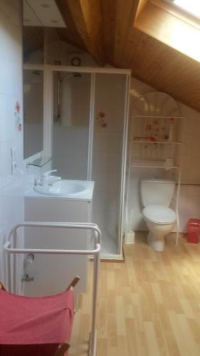 a bathroom with a toilet and a sink at Chambres d'Hôtes Le Perdigon in Estang