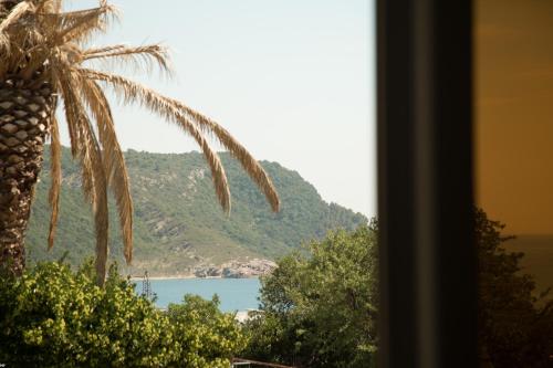 Gallery image of Del Mar Apartments in Čanj