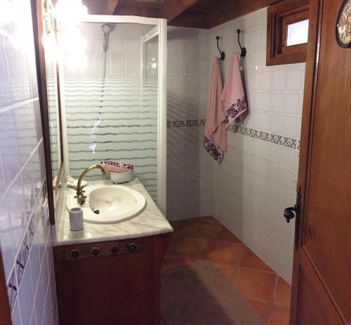 un baño con lavabo y ducha en Finca San Pablo Icod de los Vinos, en Icod de los Vinos