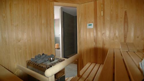 a sauna with a sink in a wooden room at Hotel Astoria in Ulrichen