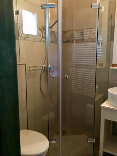 a bathroom with a shower with a toilet and a sink at BÉNI family wine farm in Cegléd