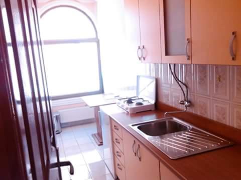 a kitchen with a sink and a window at Guest house Ćane Smestaj in Bela Crkva