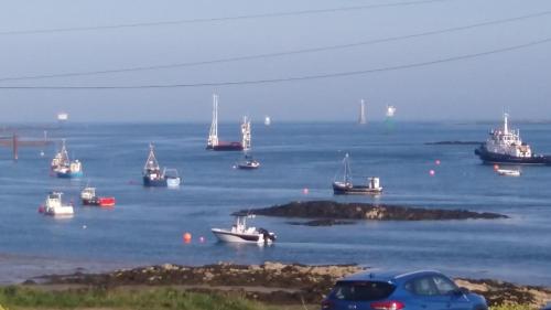 a group of boats floating in the water at Greencastle B&B in Kilkeel