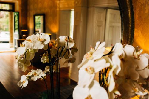 a vase filled with white flowers in front of a mirror at Belmont House Hotel in Banbridge